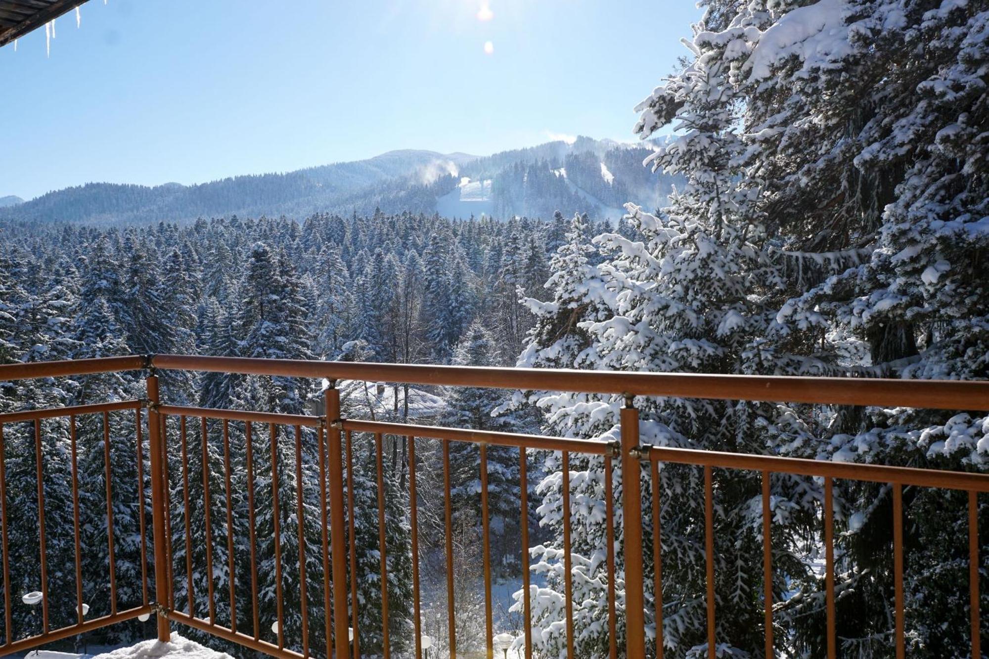 Hotel Bor Borovets Dış mekan fotoğraf