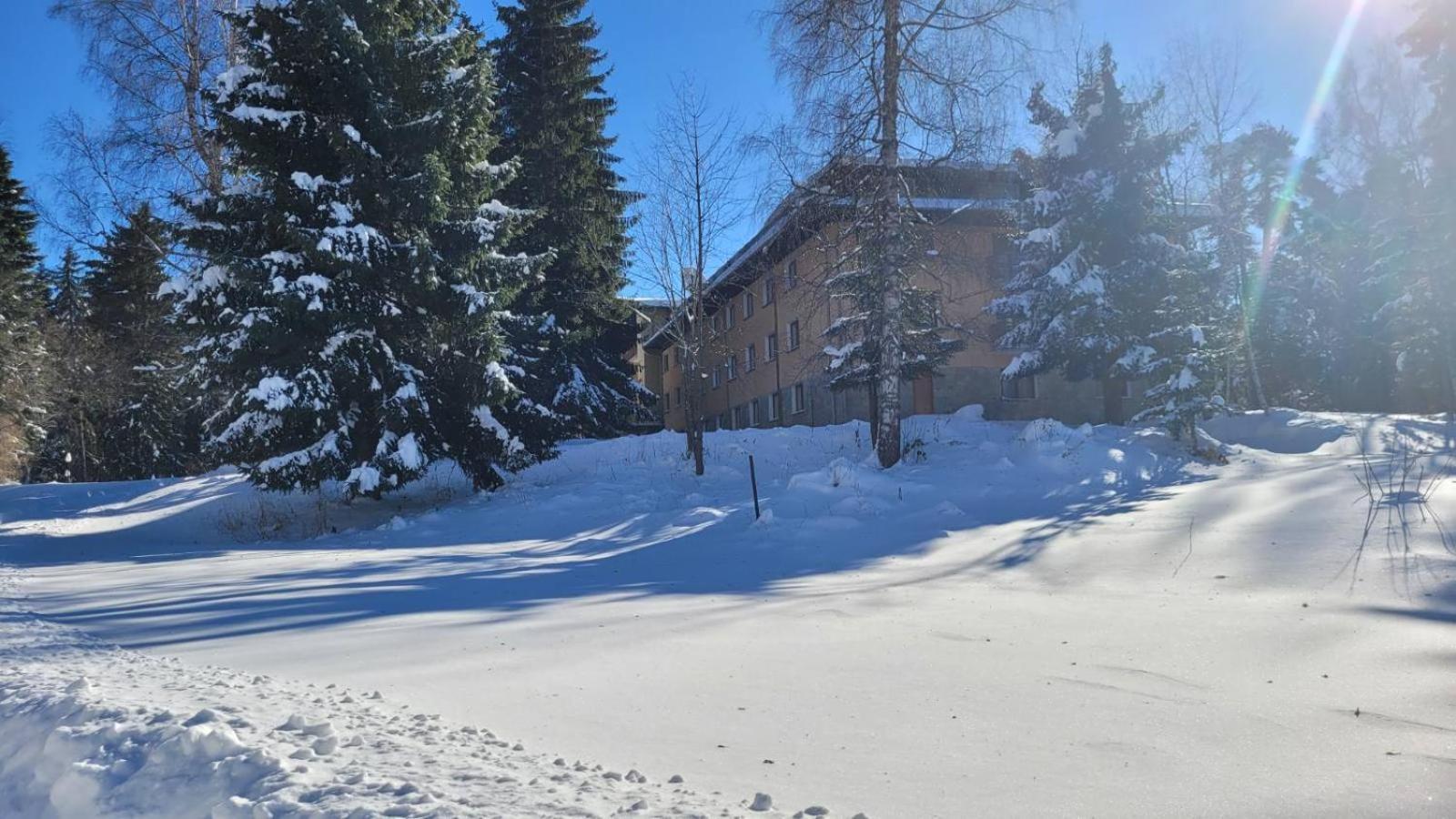 Hotel Bor Borovets Dış mekan fotoğraf