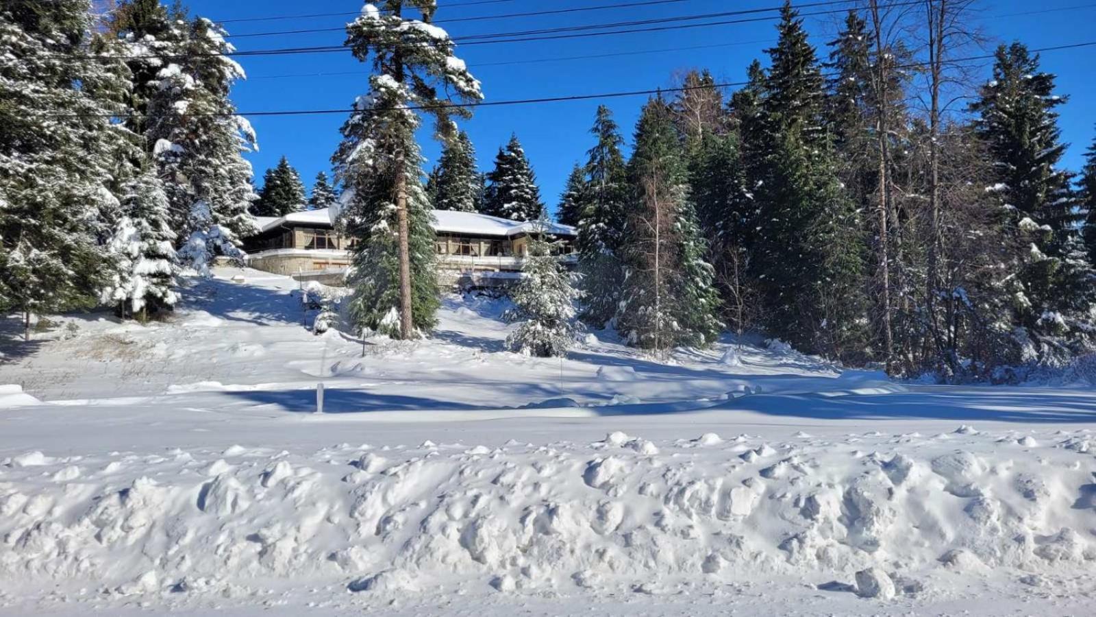 Hotel Bor Borovets Dış mekan fotoğraf