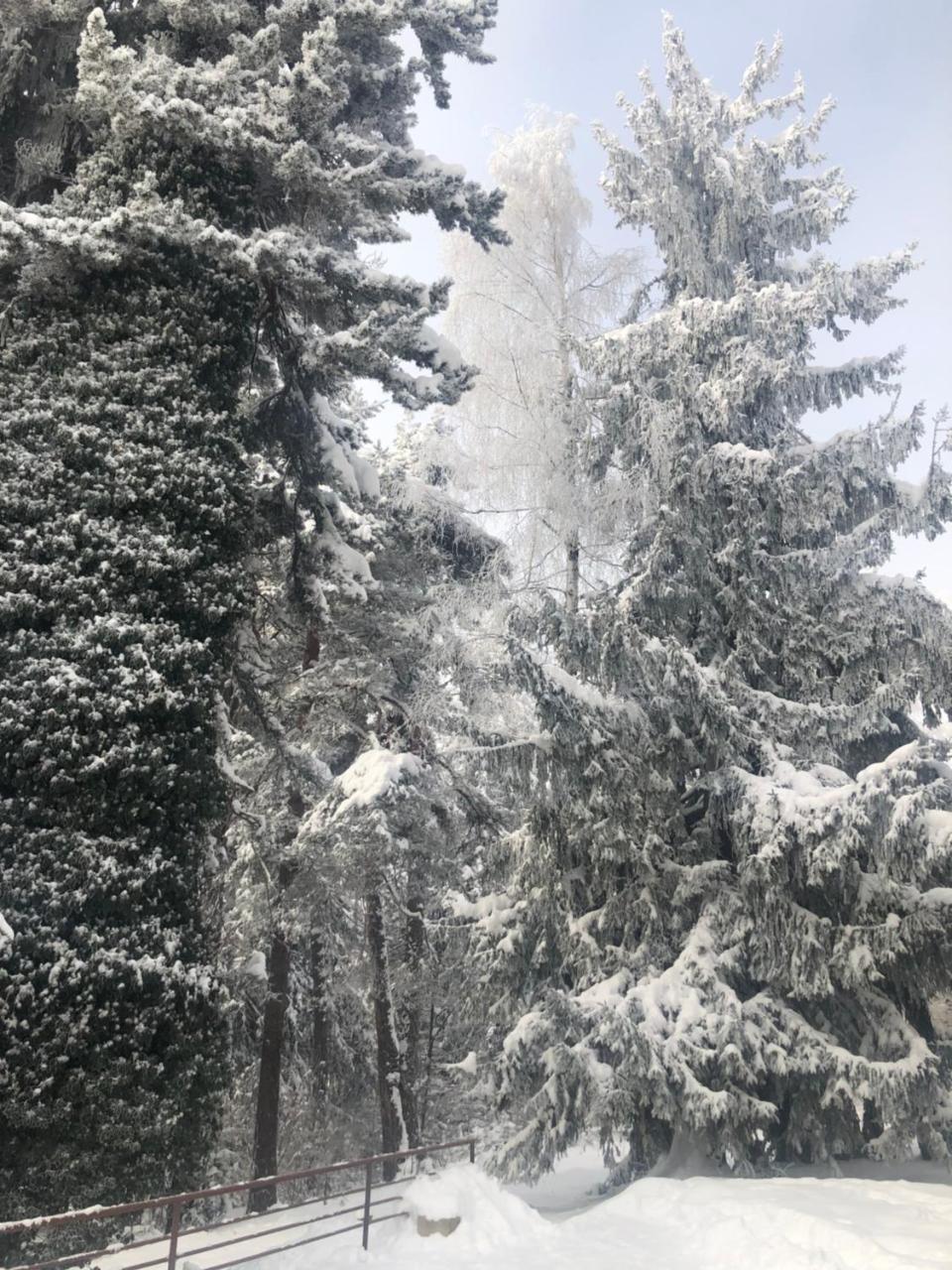 Hotel Bor Borovets Dış mekan fotoğraf